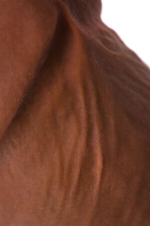 175658-13