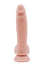 204454-1