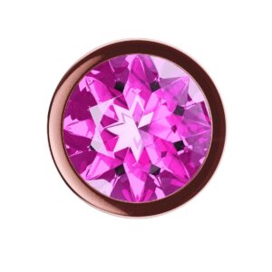 217569-2