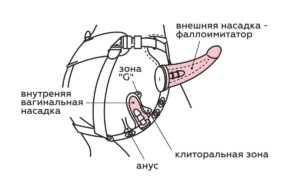 297015-6